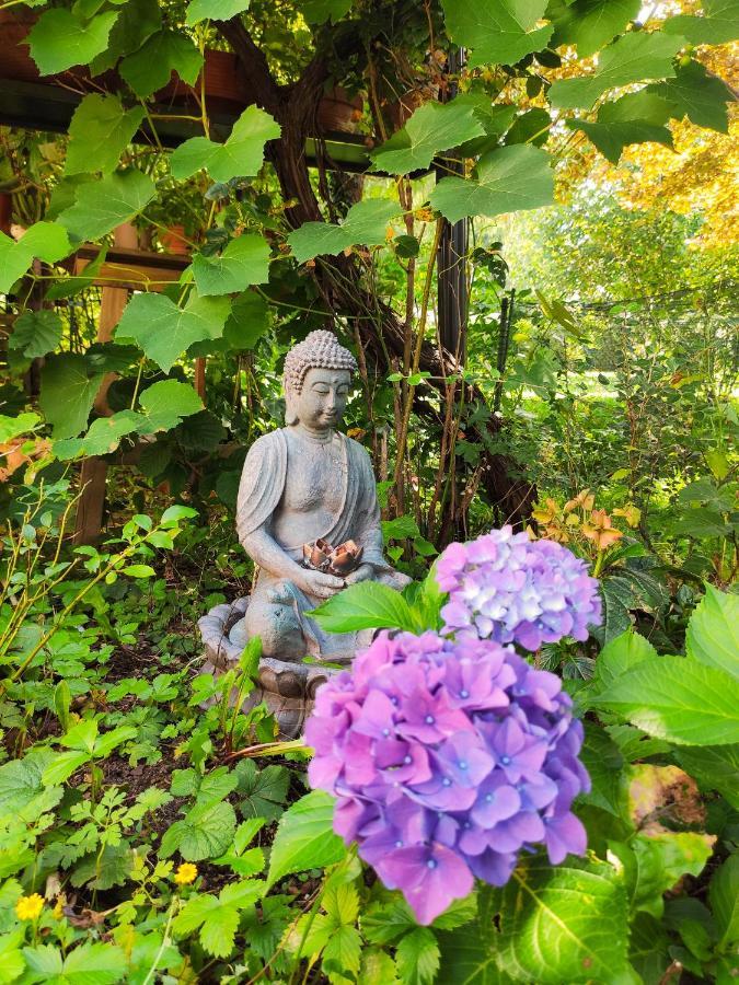 Modernes Zimmer Am Park Mit Garten, Huehner & Enten München Exteriör bild